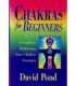 Chakras for Beginners