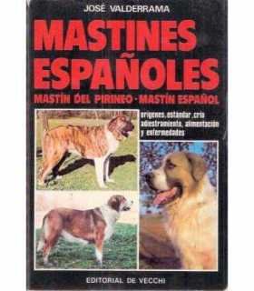 Mastines españoles. Mastín del Pirineo. Mastín esp