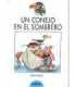 Un conejo en el sombrero