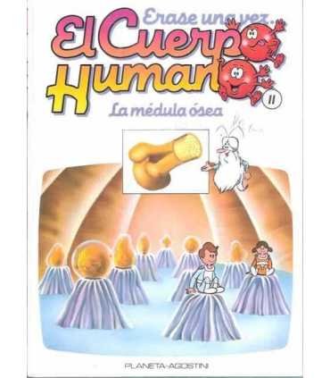 Érase una vez El cuerpo Humano. Tomo 11: La médula ósea