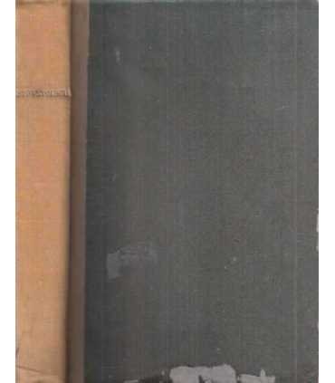 Tratado de estomatología, VIII. Enfermedades Quirúrgicas de la boca y de los maxilares
