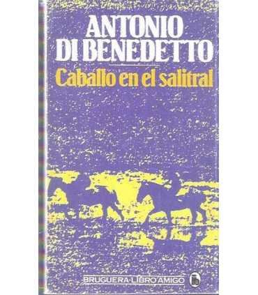 Caballo en el salitral