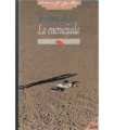 La encrucijada