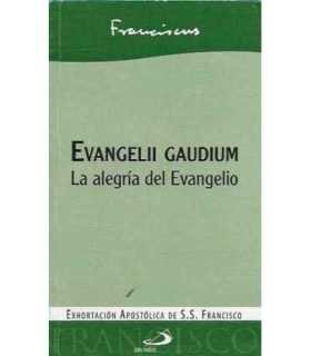 Evangelii Gaudium. La alegría del Evangelio