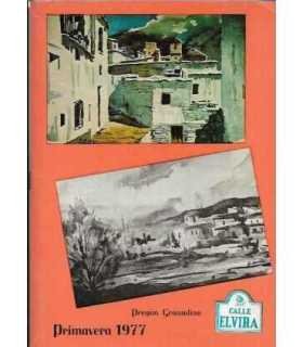 Calle Elvira. Pregón granadino. Primavera 1977.