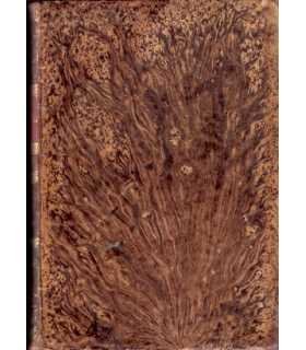 Guías visuales: Nueva York